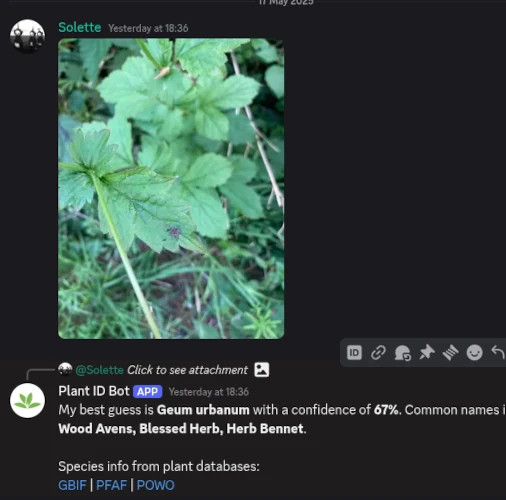 Plant ID Bot